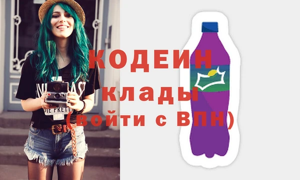 индика Володарск