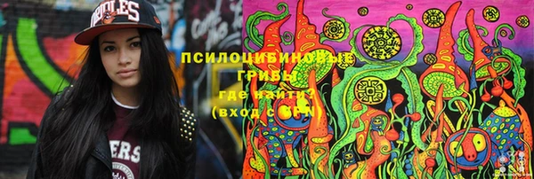 спайс Лабытнанги