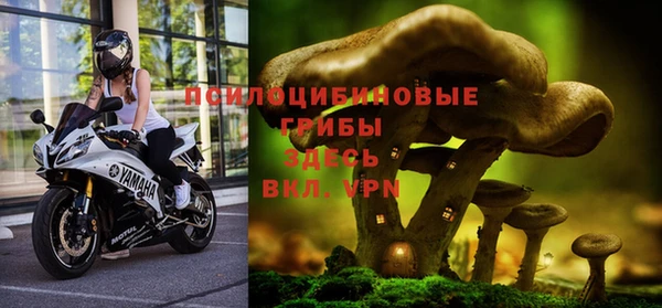 сатива Майский