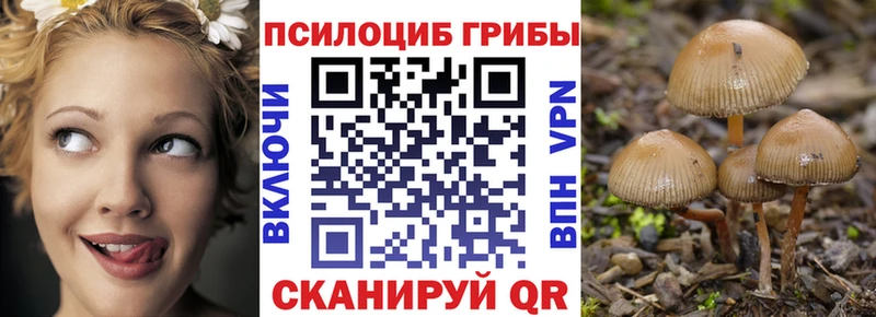 Псилоцибиновые грибы Magic Shrooms  где найти   Сясьстрой 